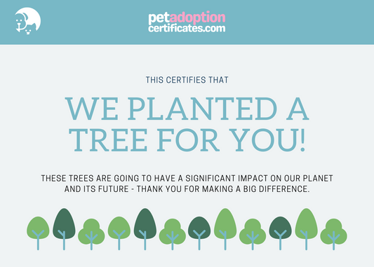 Plant a Tree (Dedicated to you)